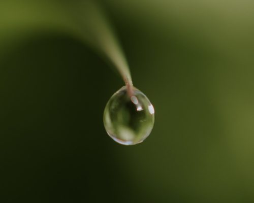 nagy-arnold-nmLUD-y5xfM-unsplash